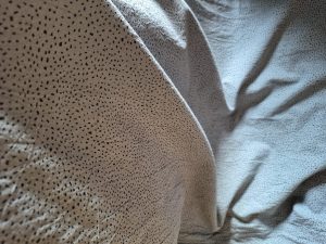 Tissu - coton lavé - vert tendre à point noir | Atelier Inika | Tissu au mètre