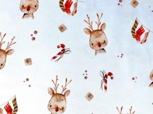 tissu coton rennes